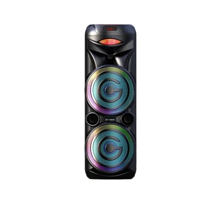 Double 10"inch Party Wireless Speaker for Dancing Karaoke BT Speaker with Microphone