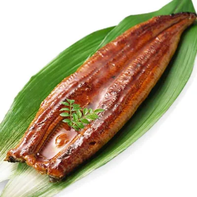 Factory Supply High Quality Japanese Sushi Seafood Unagi Kabayaki Headless Back Cut Roasted Eel