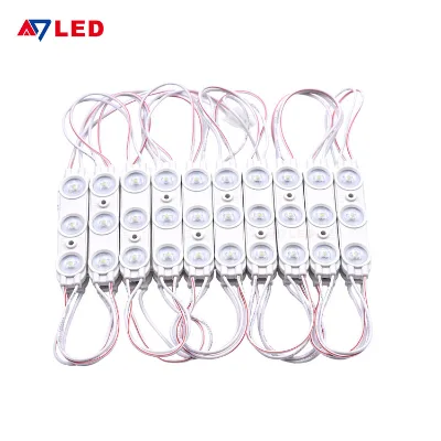 AC 110V/220V Input White 6500K 2W IP65 Waterproof Injection SMD 2835 2LEDs /CE/RoHS Certified LED Sign Module