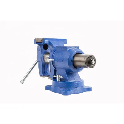 High Quality Private Label Bench Vise DT100 Mechanical Hand Tools Light Duty Iron Bench Vice