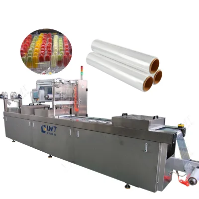 Heat Sealer Ice Cream Film Skin Packing Machine Air Vacuum Food Sealer for Food Package