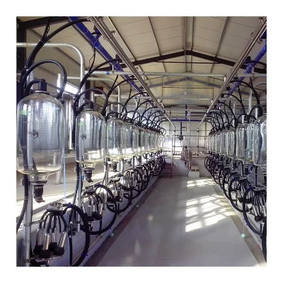Artificial Intelligent Dairy Farm Equipment Cow Milking Machine Price 10 Position