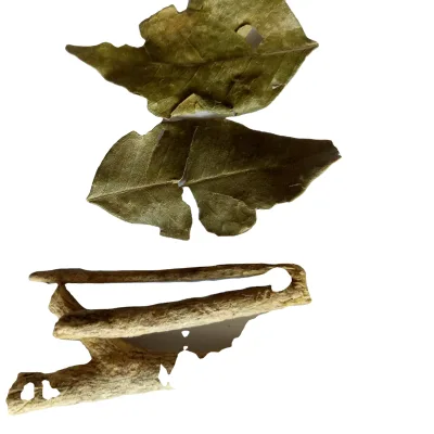 Jiu Li Xiang Kamuning High Quality Natural Dried Cuts Leaf Et Cacumen Murraya Dry Murraya Paniculata Twig Leaves
