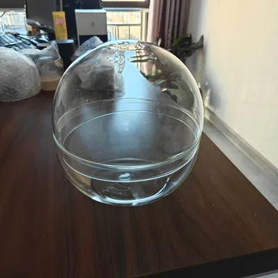56H 18cm Customized High Borosilicate Glass Micro Landscape Egg Split Eco Vase Moss Vase