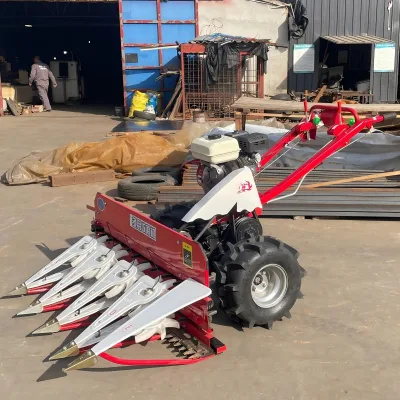 Reliable Diesel Powered Multi-crop Reaper Binder Harvester for Rice Wheat Sesame Harvesting Small Farm Agricultural Process Unit