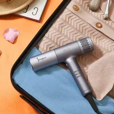 High Speed Hair Dryer With Anion Hairdryers Mini Size Travel 110,000Rpm BLDC Hair Blow Dryer With Ionic Blower Hair