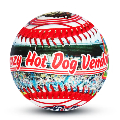 9 " Signature Baseball Blank Baseball for League Play, Practice, Competitions, Gifts, Arts and Crafts Baseball Ball