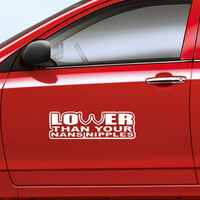 Personality Slang( LOWER ) Waterproof Vinyl Die Cut Bumper Sticker/ Window Decal/ Car Sticker