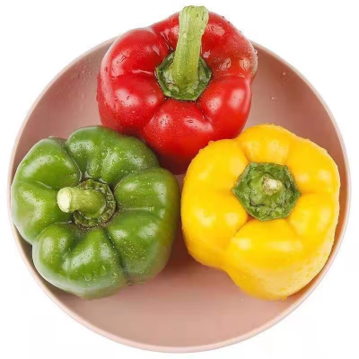 Best -Selling New Harvest Fresh Bell Pepper Colorful Capsicum Sweet Color Bell Pepper