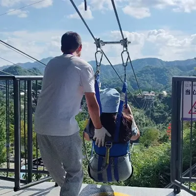 Zip Line Kit with Complete Accessories Ziplines Amusement Park Rides Metal Durable Ziplines