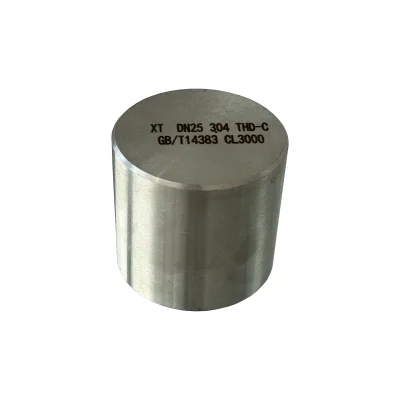 High Pressure Factory Outlet Round Caps Socket Weld Stainless Steel Industry Forged Pipe Cap