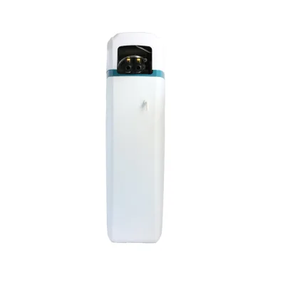 Top Selling Electric Descaler Treatment Addolcitore Acqua Water Softener Domestic Cabinet Type 1 Year Warranty for Luxury