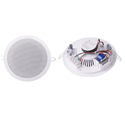 In Wall/in Ceiling 6 Inch ABS Ceiling Speaker for PA System