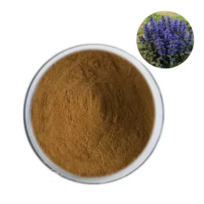 Manufacturer Supply Top Grade Ajuga Turkestanica Extract 10% Turkesterone Powder