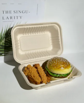 Disposable  Bagasse   Boxs
