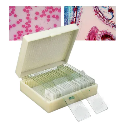 Biology Plant Tissue Teaching Prepared Slides for Microscope Frosted Glass Slide with High Quality