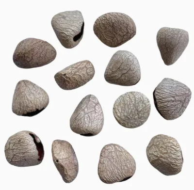 Nut Shell Hand Bell Pendant Material Can Be DIY Wrist Bell Hand Bell Fruit Shell Hand Bell