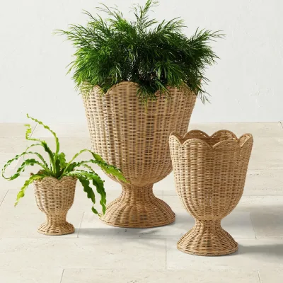 Minimalism Scallop Hand-woven Rattan Decorative Vase Rattan Table Vase Meticulous Home Decoration