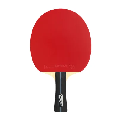 Pimple in Normal Quality Pre-assembled Table Tennis Racket