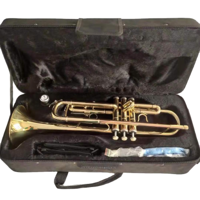 Brass Wind Instrument, Cheap Student  Trumpet