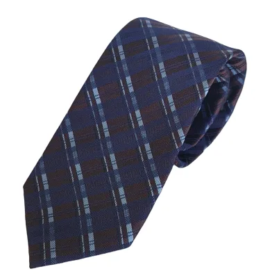 OEM ODM High Quality Men's Tie Pure Silk Necktie Men's Casual Plaid Tie Custom Design  Jacquard Woven Silk Style Fashion Ties
