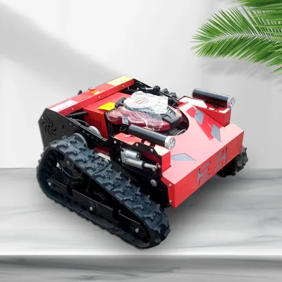 Competitive Price Remote Control Petrol Lawn Mower zero Turn Riding Lawn Mower Robot Lawn Mower Automatic Gps for Grass Cutting