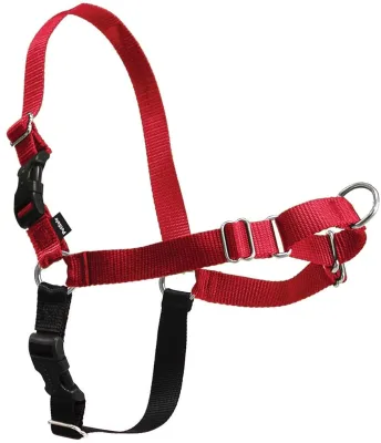 Hot Sale Vest Chest Strap Dog Pet Harness Thick Dog Strap Harness