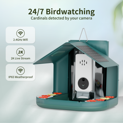 Bird Manufacturer Price Bird Feeders for Outdoors with 2K Bird Watching Camera Ideal Gifts for Christmas White Elephant Gifts