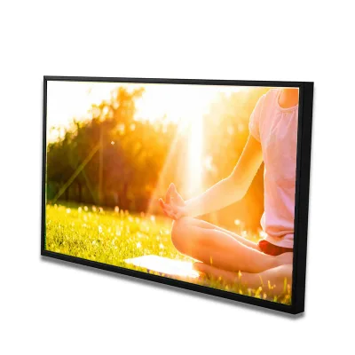 Hot selling video advertising screen high brightness displays 43inch outdoor lcd display in UAE