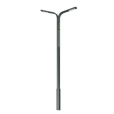 High Brightness IP66 LED Solar Street Light Multi-Power Pole (50W 150W 200W 60W) for Outdoor Road & Garden AC Power Source