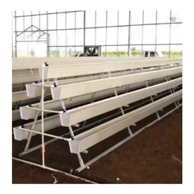 Innovative Cultivation Equipment Growing Agricultural Hydroponic Seeds Automatically System