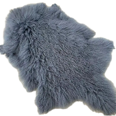 China Factory Offers Cheap Mongolian Goat Fur Skin Curly Long Hair Pelt Raw Pattern Soft Sheepskin for Coat for Clothing Home