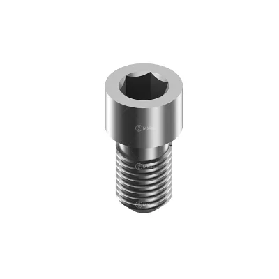 Titanium Grade 5 Implant Fixation Screw for DIO UF Multi Unit Abutment Oral Therapy Equipment & Accessory