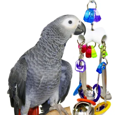 Parrot chewing toy, bird toy, four-corner stainless steel parrot chewing spoon skewer, large skewer