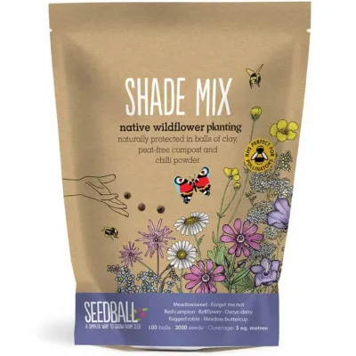 Wildflower Bag That Creating a Vibrant Little Garden and Effortlessly Germinating Into Resplendent Blooms