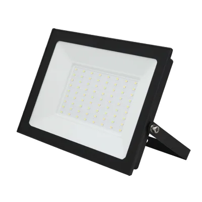 New Design IP66 LED Floodlight 100W Outdoor Courtyard Waterproof Manufacturer's Lighting Light Little Apple Floodlight