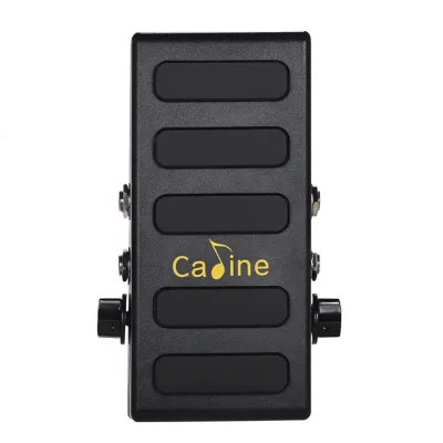 Caline CP-31P Aluminum Alloy Black Volume Pedal with 9V DC Power Adapter