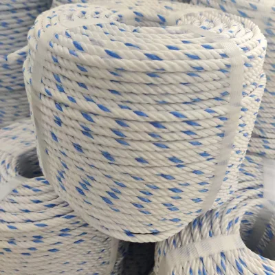 Outdoor Wear Resistant Custom Twisted PP Polypropylene Raffia Twine Rope