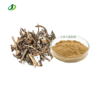Factory Supply Natural Folium Isatidis Extract 10:1 Folium Isatidis Powder 20:1