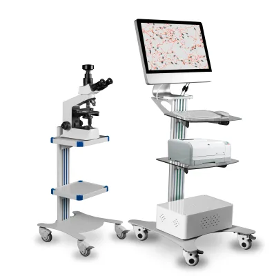 Portable Automatic Sperm Quality Analyzer LCD Screen Microscope with 1000 Sperm Capacity INNORKOM INC-S100 for Semen Testing