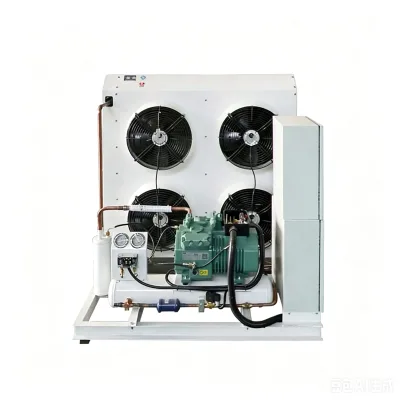 Three Phase Custom Hz Semi-Hermetic Water Cooled Condensing Unit Catering Central Kitchen Cold Storage Machine