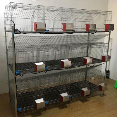 Galvanized Metal Rabbit Cage Poultry Layer Cages