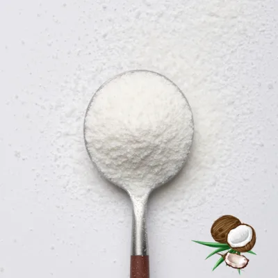 Instant Coconut Powder