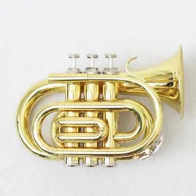 Wholesale OEM Golden Brass Wind Instrument Pocket Trumpet Portable Professional Trumpet With Accessories Set