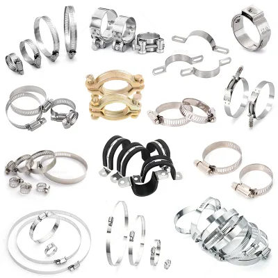 Custom 304 316 Zinc Plated Stainless Steel Mini Clamp Bolts Adjustable Metal Swivel Band Pipe for Various Hoses Hose Sealing
