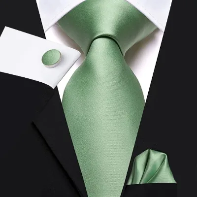 Men's Formal Business Solid Polyester Wedding Party Neck Ties Sage Green Paisley Pattern Pocket Squares and Cufflinks Gift Sets