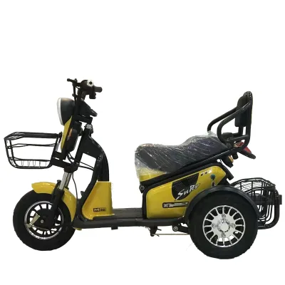China Practical Daily Travel Colorful 500w 48v/60v 3 Wheel Electric Tricycle for Passenger