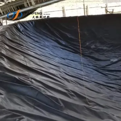 HDPE Geomembrane 2mm Fish Farming Ponds Pool Lagoon Aquiculture Waterproof Black Plastic Tank for Fish