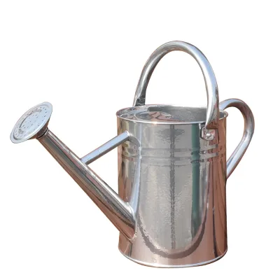 1 Gallon Metal Plant Watering Can Galvanized Steel Gardening Tool Vintage Silver Color Watering Pot for Outdoor Indoor Plants