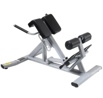 Commercial Roman Chair Fitness Equipment Weight Bench Back Extension for Fitness & Body Building Dumbbell Bench Gym Equipment